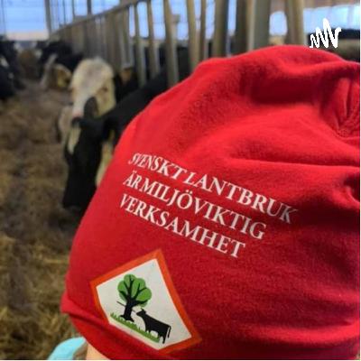 Vad sjutton har LRF Västra Götaland pysslat med 2020 🤔