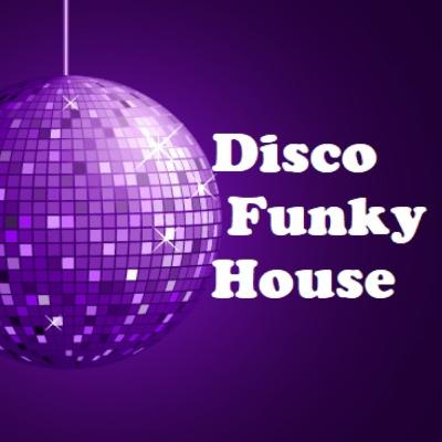 Disco-Funky-House-by-lieb-art
