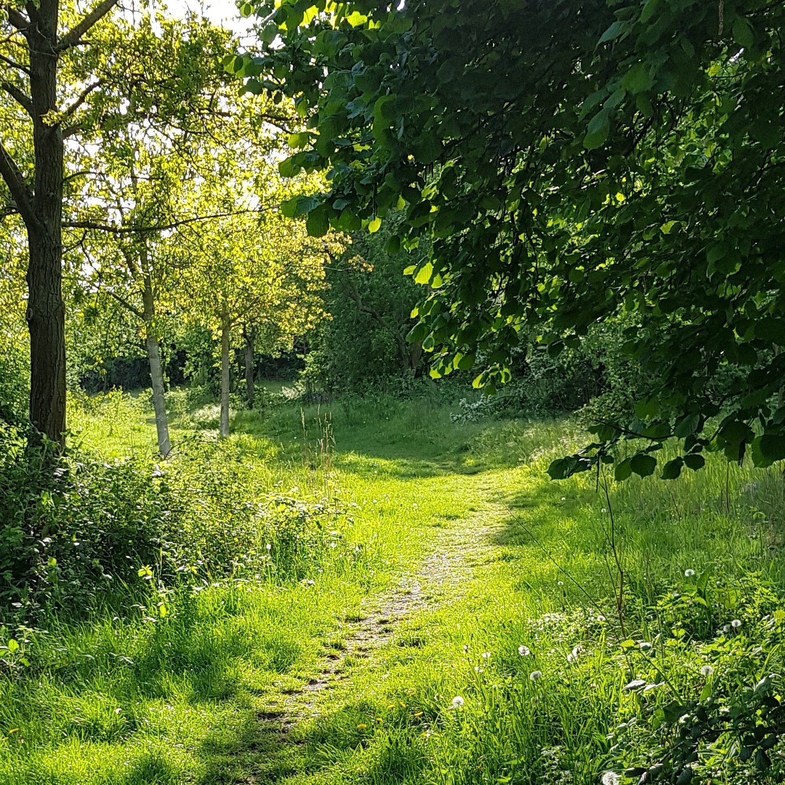 Akustische Spaziergänge