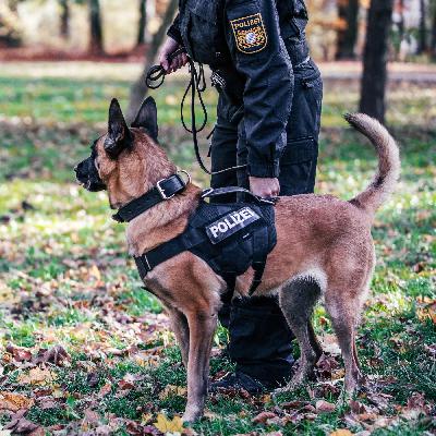 Der Polizeihund - Harte Ausbildung für Hund und Mensch