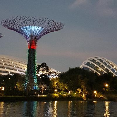 Singapore & Leo - Soul family Hommage for town & beautiful souls