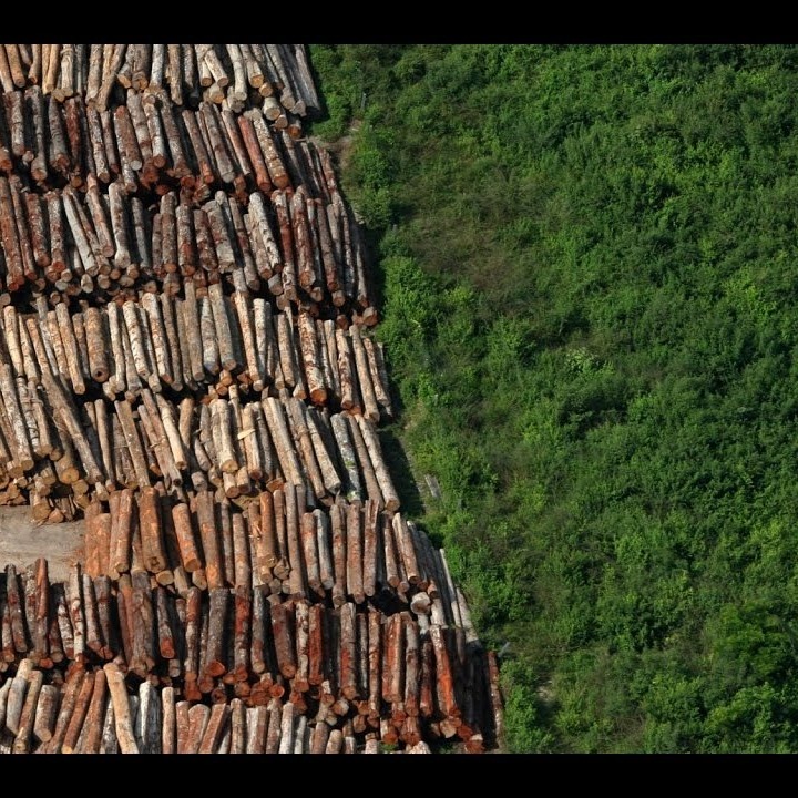 Veias Abertas da America Latina
