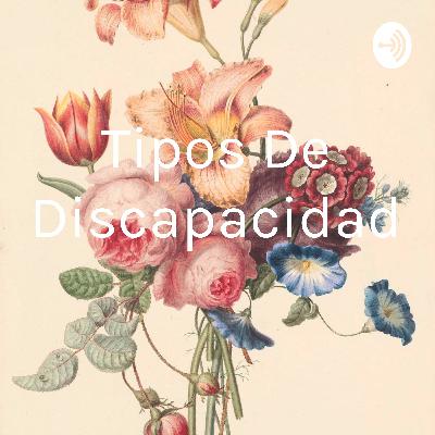 Tipos de discapacidad 2