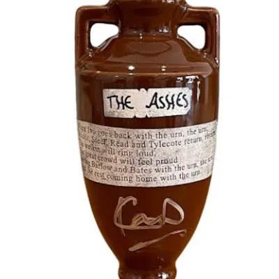 Ashes to Ashes - a review of the First Test at Perth.