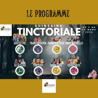 Structurer la filière des plantes tinctoriales : le programme de la Quinzaine Tinctoriale d'ArtEcoVert