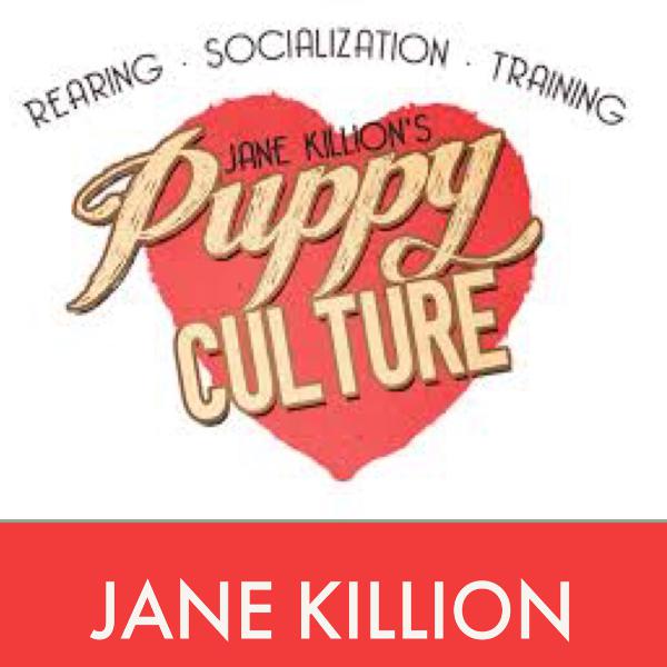 Jane Killion of Puppy Culture & author of When Pigs Fly Jane Killion of Puppy Culture & author of When Pigs Fly