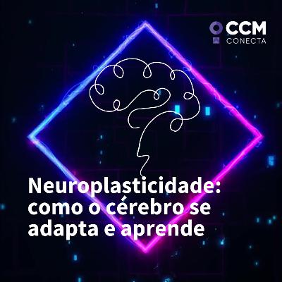 Neuroplasticidade: como o cérebro se adapta e aprende