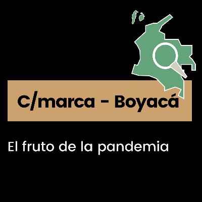 T1 E3 - El fruto de la pandemia