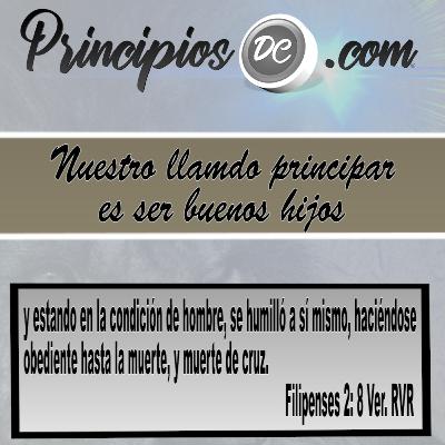 Nuestro llanado es ser buenos hijos