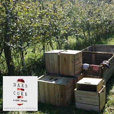 Foraging a New Path