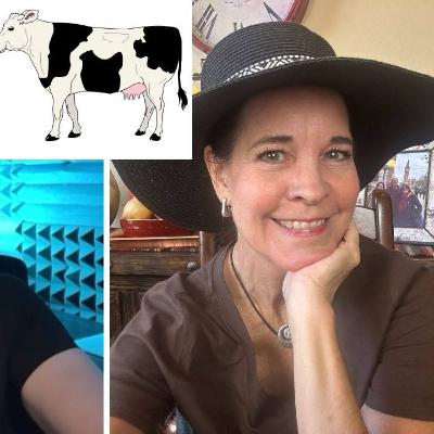 How I Chose Health Carnivore & Healed My Body | No Carb Life Interview