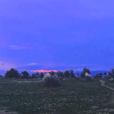 Vol.82 大理州逛吃逛吃