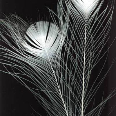 Jóga Nidra - Djúpslökun