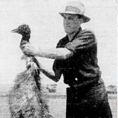 This Week in 1932: 32 Rabbit Holes – Part One This Week in 1932: 32 Rabbit Holes – Part One