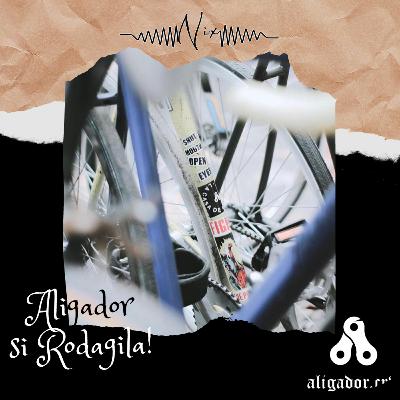 S3E19 : ALIGADOR SI RODAGILA!