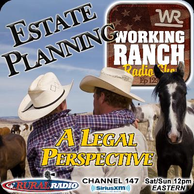 Ep 229: A Legal Perspective on Estate Planning Ep 229: A Legal Perspective on Estate Planning