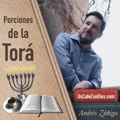 Porciones de la Torá #08 Vayishlaj - Y Él Envió