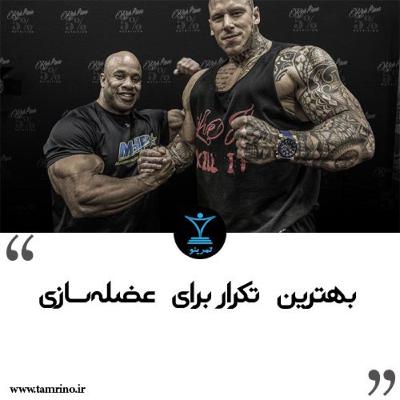 بهترین تکرار برای عضله سازی (هوش مصنوعی) بهترین تکرار برای عضله سازی (هوش مصنوعی)