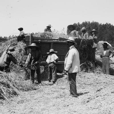 Palästina zwischen den Weltkriegen - Mandat für ein Pulverfass