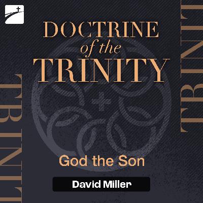 Doctrine of the Trinity: God the Son Doctrine of the Trinity: God the Son