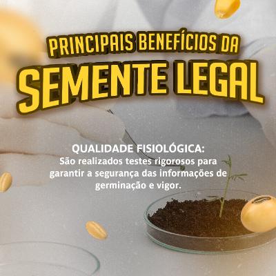 MOMENTO APASEM #109: Saiba o que é o Teste de Qualidade Fisiológica da Semente