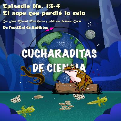 13-4 Ciencia con pretexto El sapo que perdió la cola