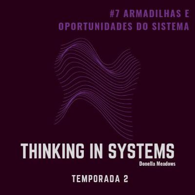 Episódio 7 - Armardilhas sistemicas....e oportunidades