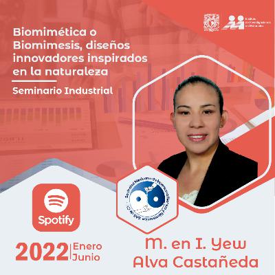 Biomimética o biomimesis, diseños innovadores inspirados en la naturaleza.