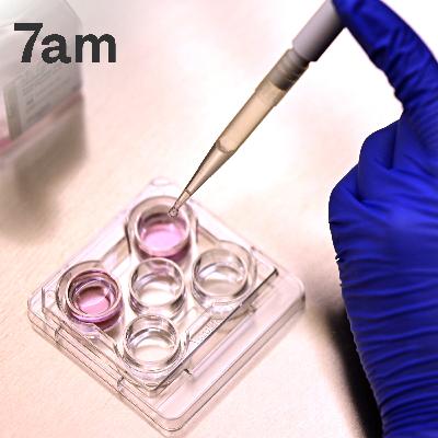 Giving birth to a stranger’s baby: the cost of IVF mistakes