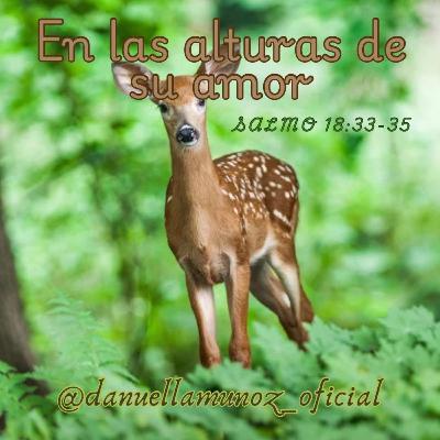 Resumen en las alturas de su amor