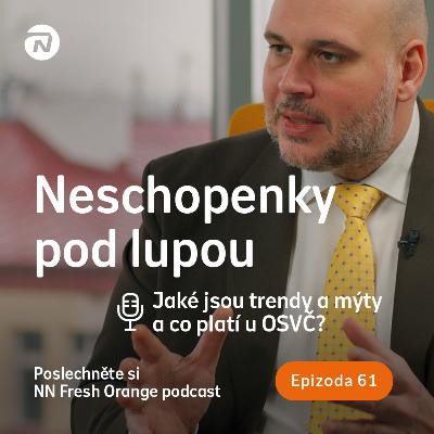 Neschopenky pod lupou