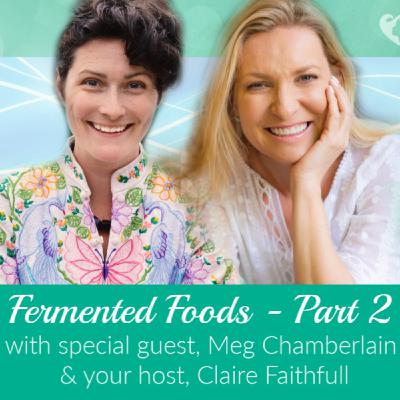 A conversation with Meg Chamberlain  at Fermenti Foods Part 2