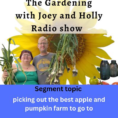 Episode 1481: Seg 2 of S9E31 Picking out the best apple and pumpkin farm to go to - The Gardeing with Joey and Holly Radio Show