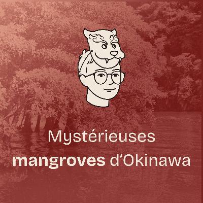 #20 Fascinante biodiversité d’Okinawa (3/4) Mystérieuses mangroves