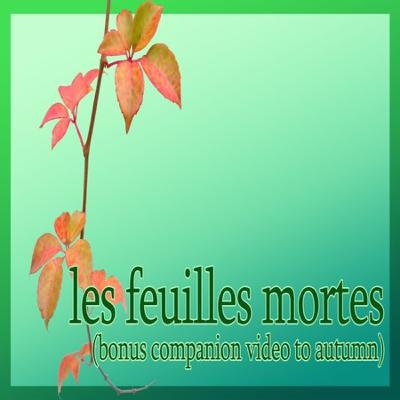 bonus video: les feuilles mortes