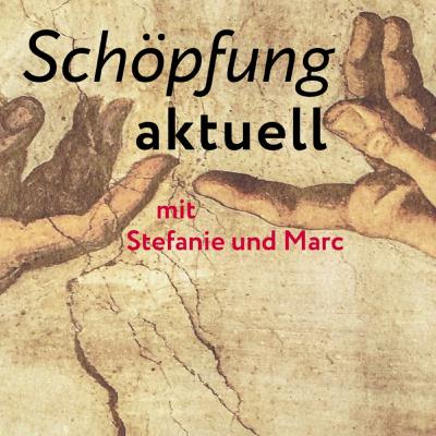 09.04.25 - Die Tore öffnen sich, traue deiner Wahrnehmung!