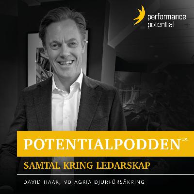 Samtal med David Haak, VD Agria Djurförsäkring