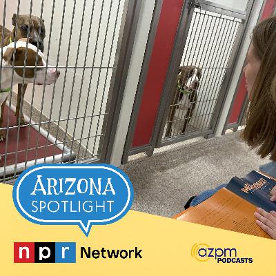 The A.R.F.F. Program: How shelter dogs are helping people living with aphasia