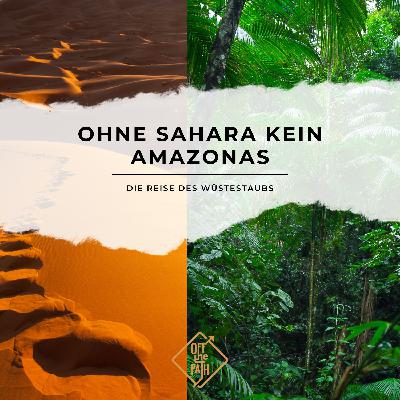 Ohne Sahara kein Amazonas: Die Reise des Wüstestaubs