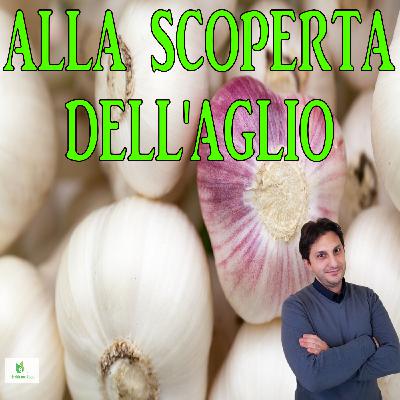 Episodio 93 - SCOPRIAMO L'AGLIO ED I SUOI BENEFICI - Le proprieta dell'aglio Episodio 93 - SCOPRIAMO L'AGLIO ED I SUOI BENEFICI - Le proprieta dell'aglio