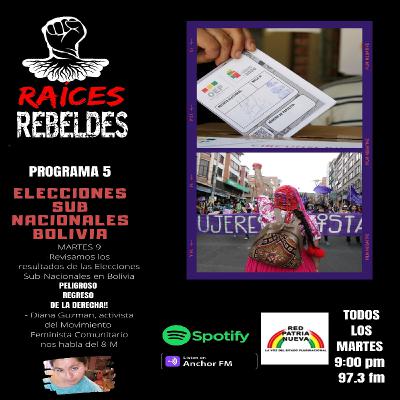 PROGRAMA 5/ "Elecciones Sub Nacionales en Bolivia"