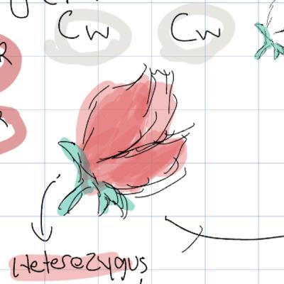 Mendelian laws - Episode 17#