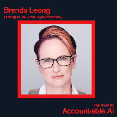 Brenda Leong: Building AI Law Amid Legal Uncertainty