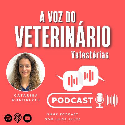 T2/EP11 - Vetestórias - Catarina Gonçalves T2/EP11 - Vetestórias - Catarina Gonçalves