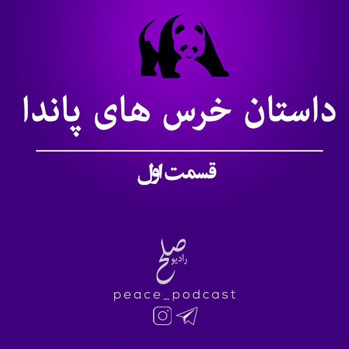 خرس های پاندا - اپیزود 1 - مقدمه