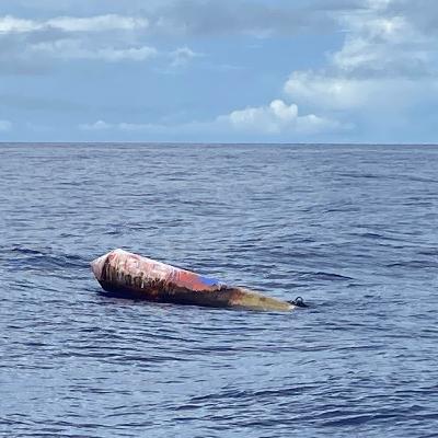 Allt om kokosnötter Allt om kokosnötter