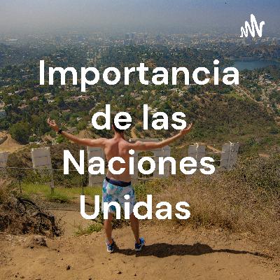Importancia de Naciones Unidas