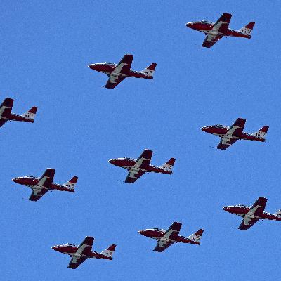 Canadian Forces Snowbirds set to headline SF's Fleet Week