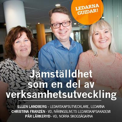 Jämställdhet som en del av verksamhetsutveckling