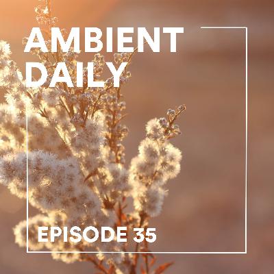 Episode 35 - Warm Flower